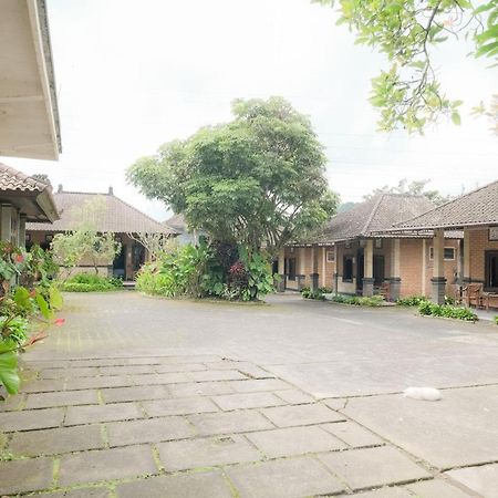 Pelangi Homestay Bedugul Redpartner 外观 照片