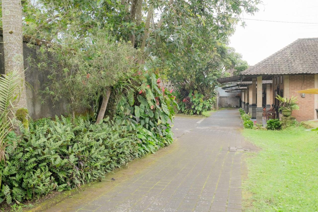 Pelangi Homestay Bedugul Redpartner 外观 照片